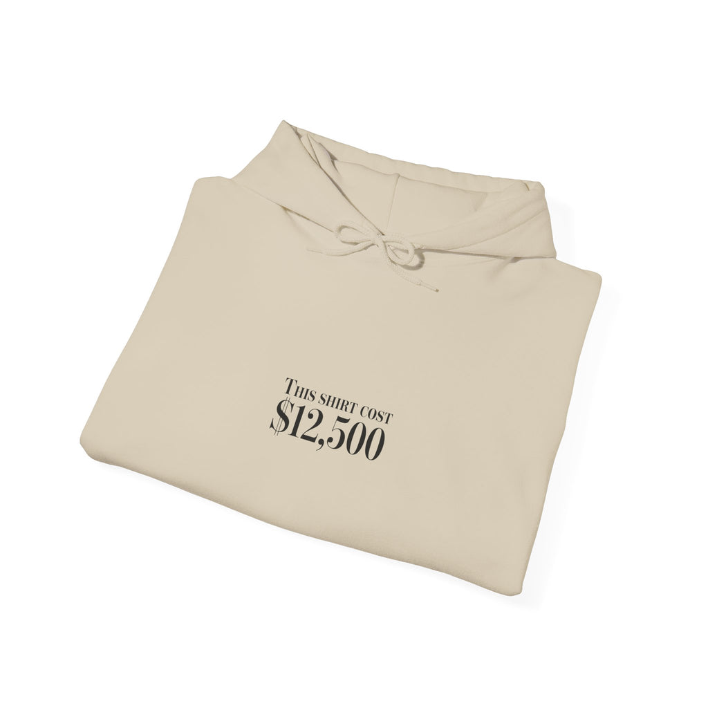 “This Shirt Cost 12,500” Hoodie | Anti-Hypebeast Ironic Wealth-Flex