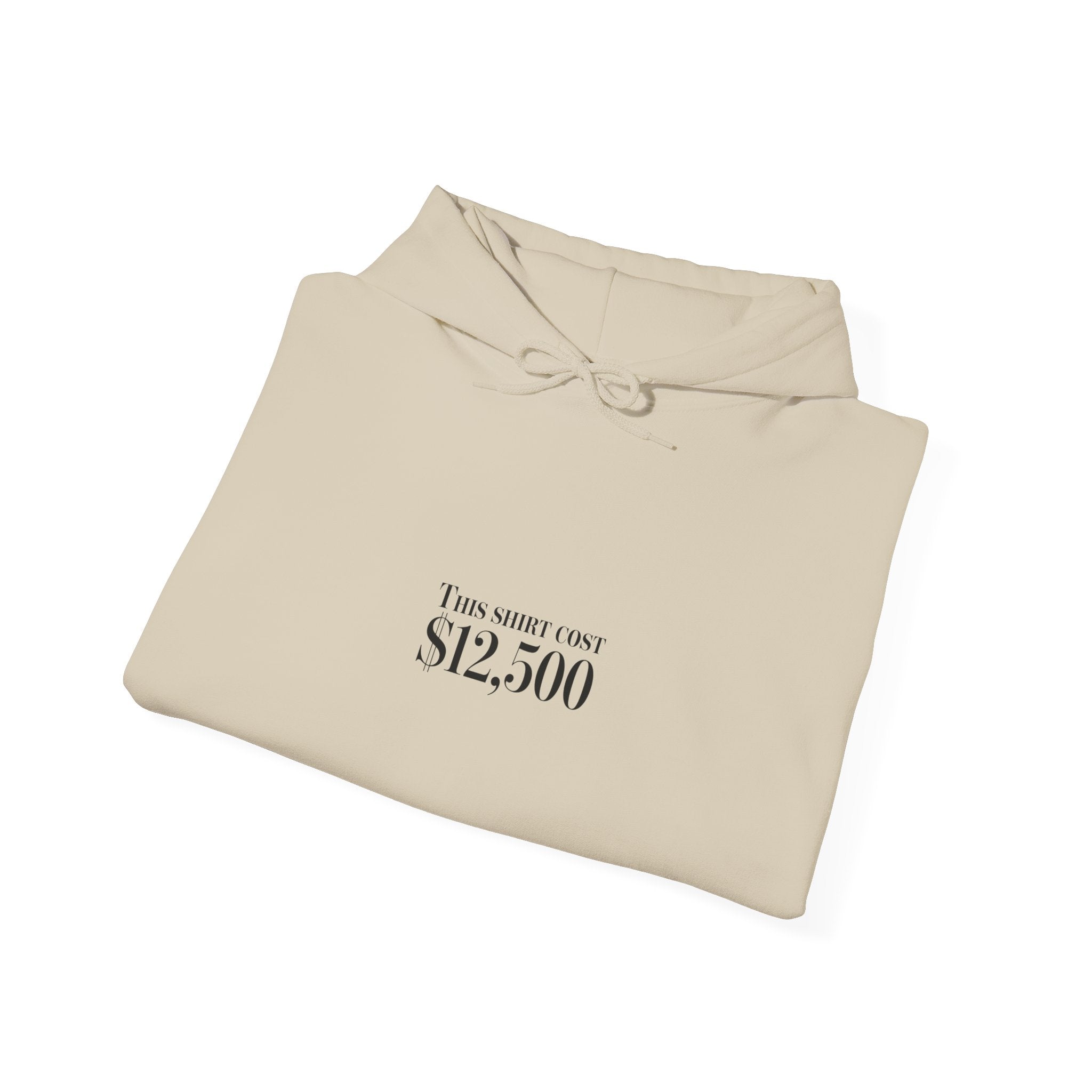 “This Shirt Cost 12,500” Hoodie | Anti-Hypebeast Ironic Wealth-Flex