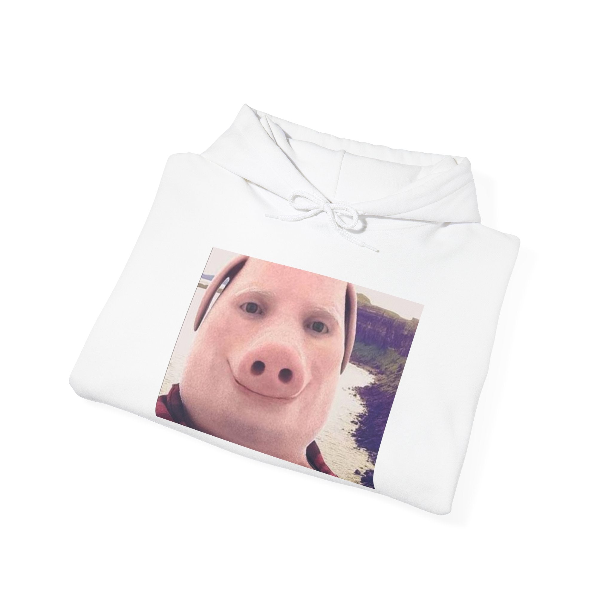 Hoodie — Funny Pig Snout Selfie Pullover