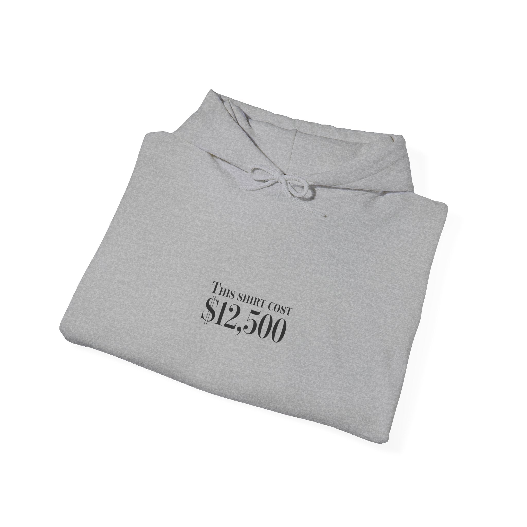 “This Shirt Cost 12,500” Hoodie | Anti-Hypebeast Ironic Wealth-Flex