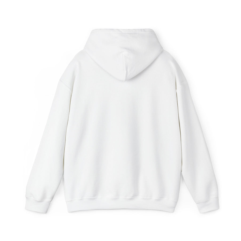 “This Shirt Cost 12,500” Hoodie | Anti-Hypebeast Ironic Wealth-Flex