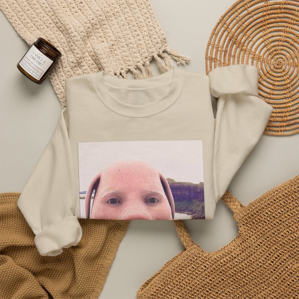 Crewneck Sweatshirt — Funny Pig Face Photo Print Pullover