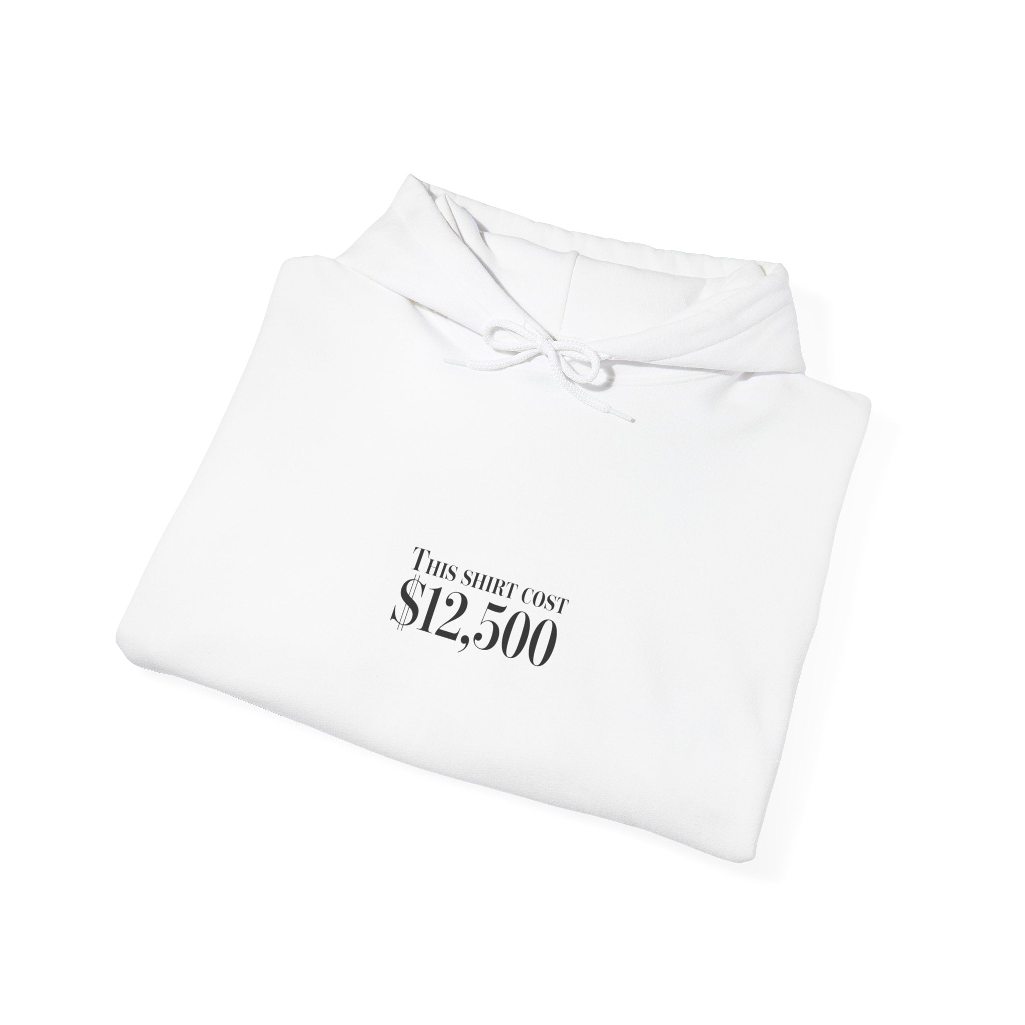 “This Shirt Cost 12,500” Hoodie | Anti-Hypebeast Ironic Wealth-Flex